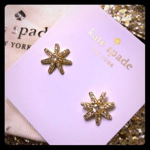 Kate Spade ♠️ star earnings